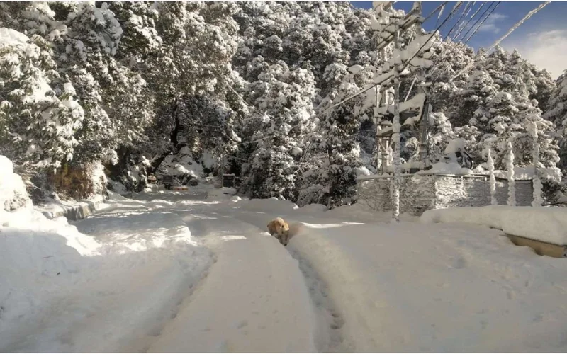 Namaskar Hotels Dalhousie